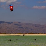 happy kite dahab